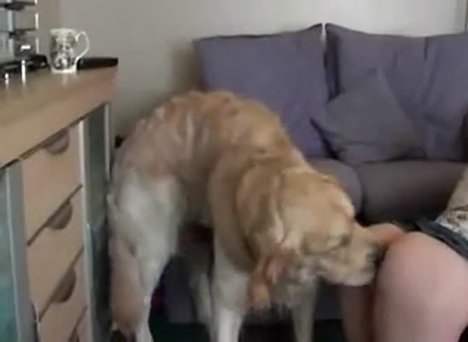 Video :Girl sucking boyfriend's dick while having dog sex